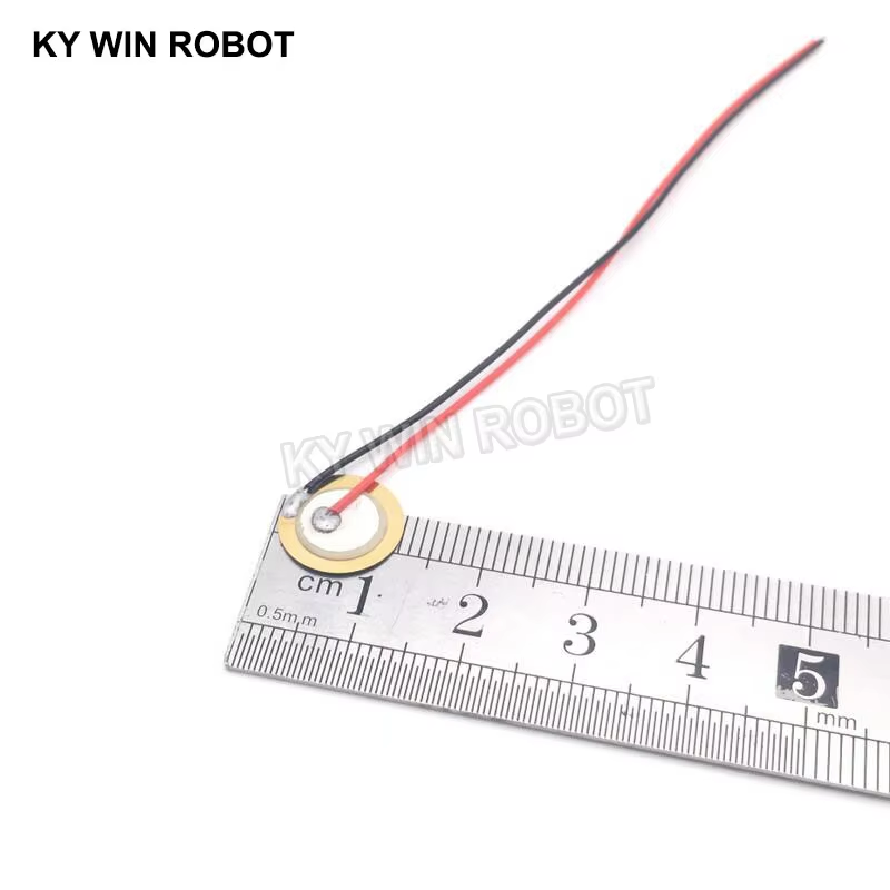 10 Buah Pelat Wafer Keramik Pi - Diy In Electronics ulasan dan harga